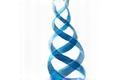 Apex BioPharma Logo